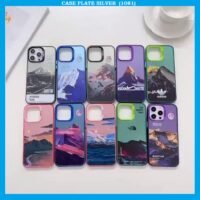 CASE PLATE SILVER  (1081)
