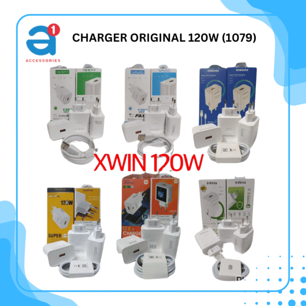 CHARGER ORIGINAL 120W (1079)