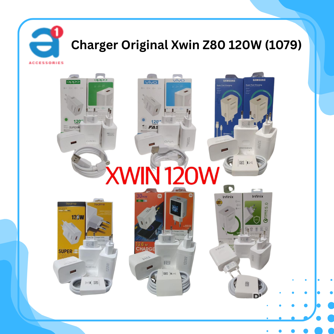 Charger Original Xwin Z80 120W (1079)